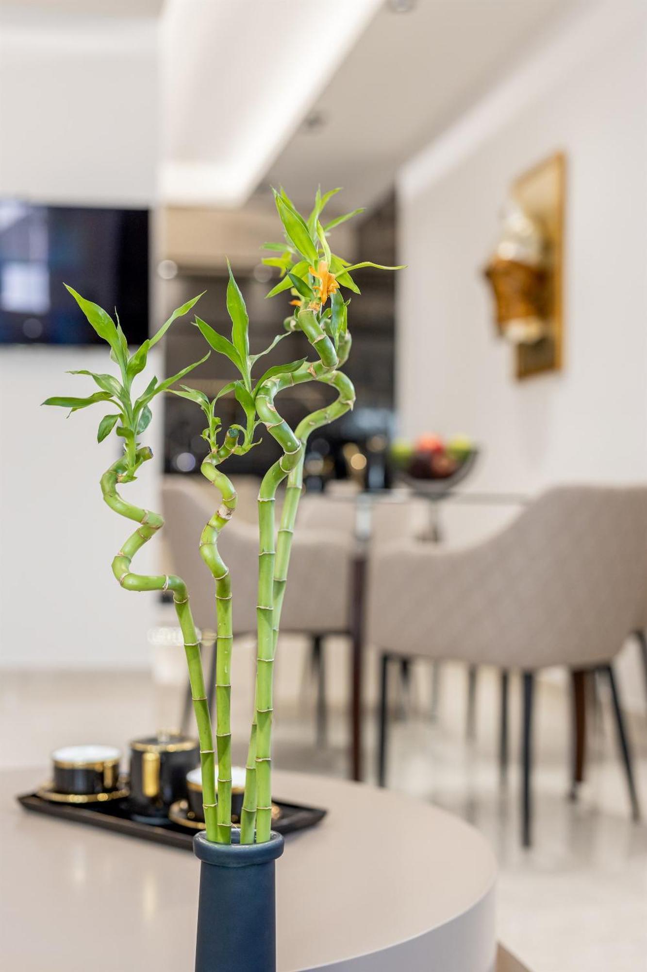 Vivian'S Luxury Suite Μονεμβασιά Εξωτερικό φωτογραφία